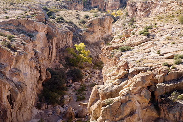 Box Canyon, Hidalgo County, New Mexico 