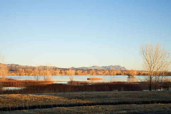Bosque del Apache National Wildlife Refuge