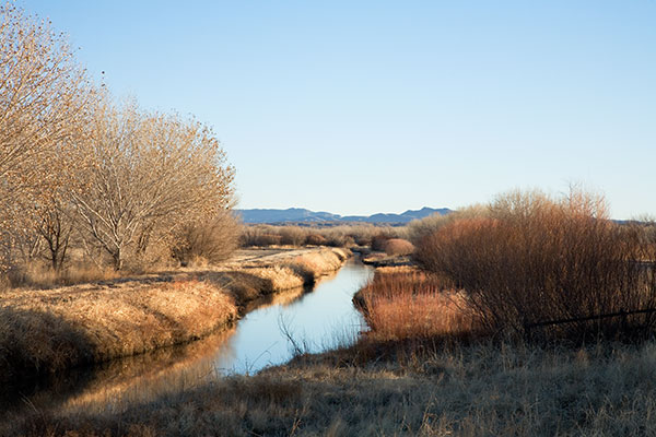Bosque del Apache National Wildlife Refuge