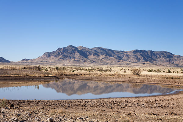 Stock Pond and Peloncillo Mountains, Hidalgo County, New Mexico 