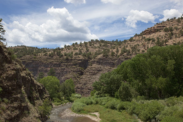 Gila River below Forks, New Mexico 