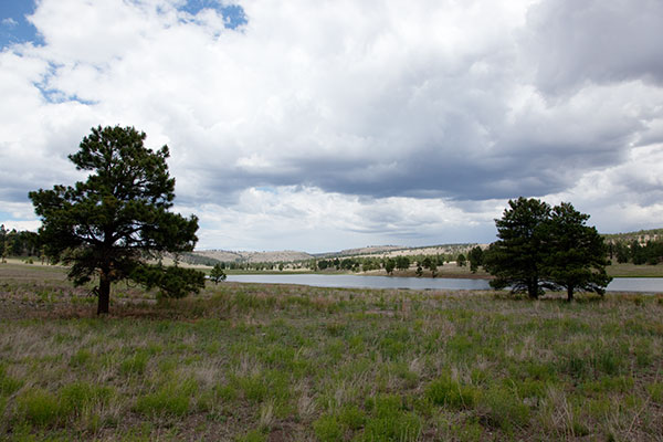 Snow Lake, Gila National Forest
