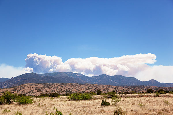 Whitewater Baldy Complex Fire Gila National Forest