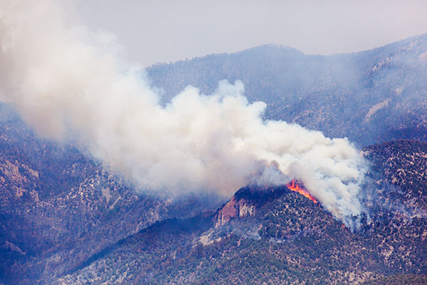 Whitewater Baldy Complex Fire Gila National Forest