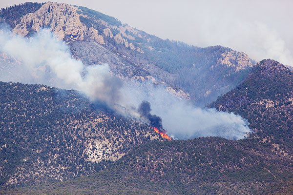 Whitewater Baldy Complex Fire Gila National Forest