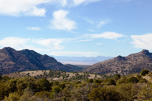 Thompson Canyon in Burro Mountains, Grant County, New Mexico