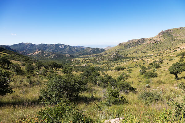 Upper Cottonwood Canyon, Geronimo Trail, Hidalgo County, New Mexico