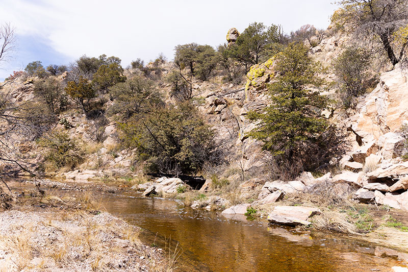 Water flowing over Dam in Clanton Draw, Hidalgo County, New Mexico