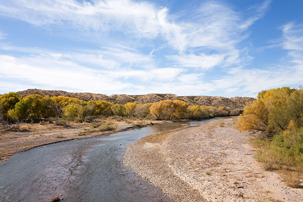 Fall Colors Gila River Hidalgo County New Mexico 