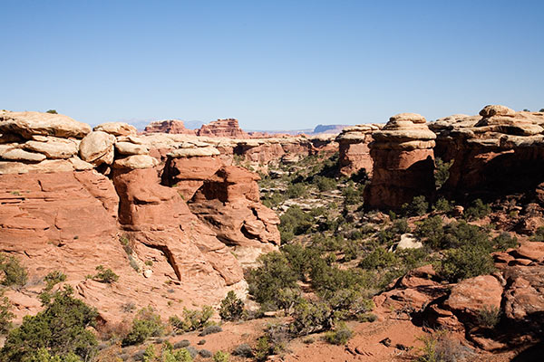 View from Chesler Park Trail, Needles District, Canyonlands National Park