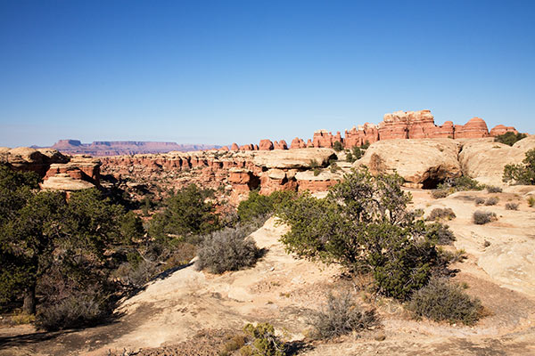View from Chesler Park Trail, Needles District, Canyonlands National Park