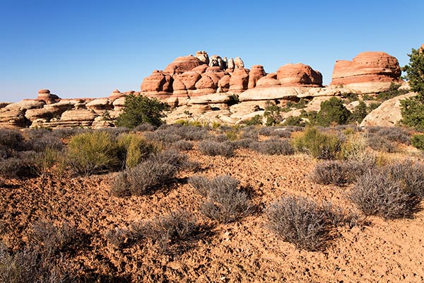 View from Chesler Park Trail, Needles District, Canyonlands National Park