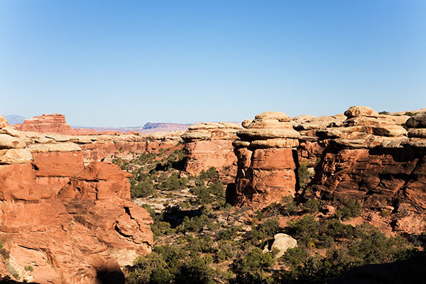 View from Chesler Park Trail, Needles District, Canyonlands National Park