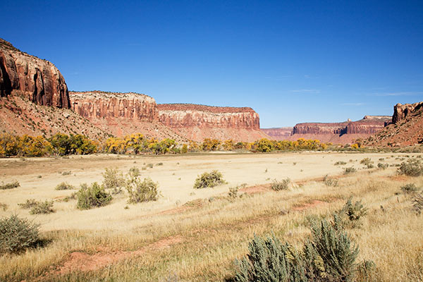 View in Indian Creek along Utah SR 211 the access to the Needles District, Canyonlands National Park, Utah