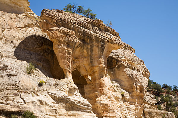 Willis Creek, Grand Staircase - Escalante National Monument, Utah