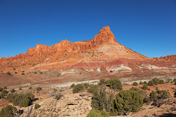 Along Wolverine Loop Road, Grand Staircase - Escalante National Monument, Utah
