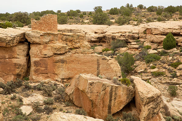 Tower Point, Square Tower Unit, Hovenweep National Monument
