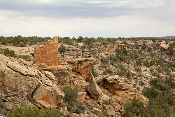 Tower Point Ruin, Horseshoe Unit, Hovenweep National Monument