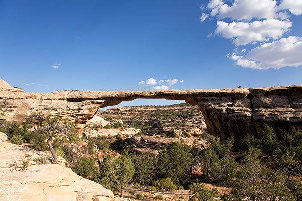 Owachomo Bridge Natural Bridges National Monument Utah
