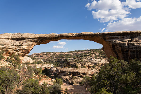 Owachomo Bridge Natural Bridges National Monument Utah