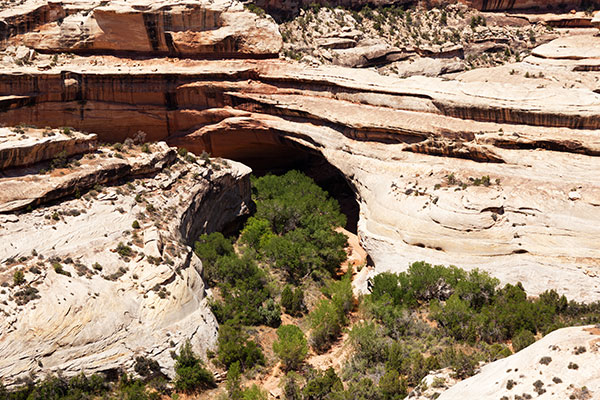 Kachina Bridge Natural Bridges National Monument Utah