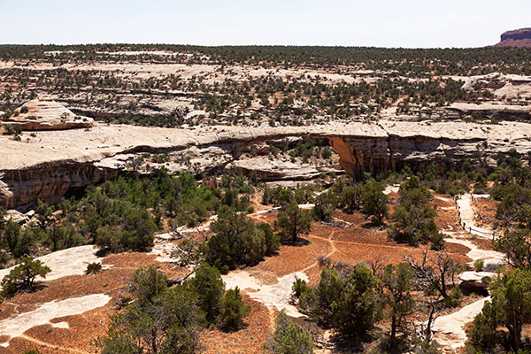 Owachomo Bridge Natural Bridges National Monument Utah