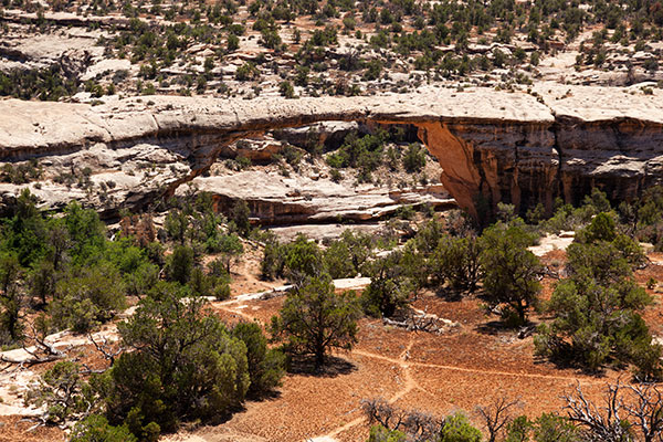 Owachomo Bridge Natural Bridges National Monument Utah