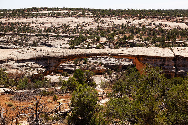 Owachomo Bridge Natural Bridges National Monument Utah