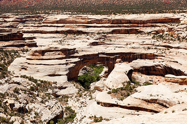 Sipapu Bridge Natural Bridges National Monument Utah