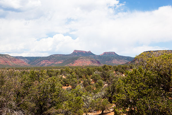 Bears Ears in Southeastern Utah
