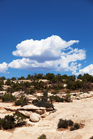 Slickrock Scene in Southeastern Utah
