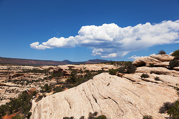 Slickrock Scene in Southeastern Utah