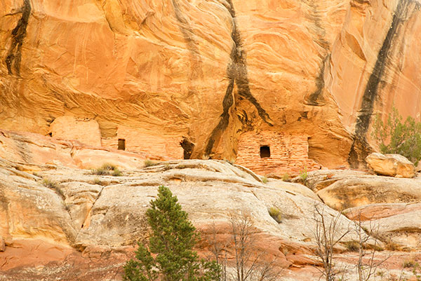 Lower Mule Canyon Ruins, Cedar Mesa, Southeastern Utah