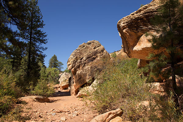 North Fork Mule Canyon, Cedar Mesa, Southeastern Utah