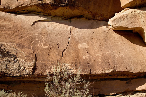 Petroglyphs, Montezuma Creek, Utah