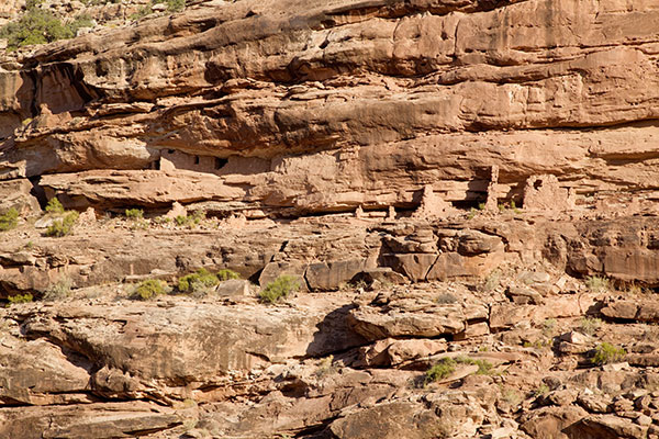 Cliff Dwelling, Montezuma Creek, Utah