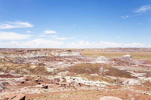 View from Jasper Forest Overlook, Petrified Forest National Park, Arizona
