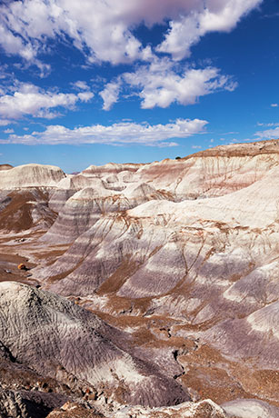 Scene along Blue Forest Trail, Petrified Forest National Park, Arizona