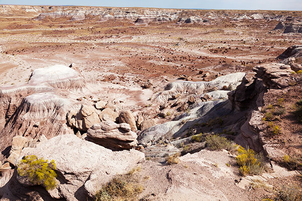 Jasper Forest from Overlook, Petrified Forest National Park, Arizona