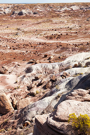 Jasper Forest from Overlook, Petrified Forest National Park, Arizona